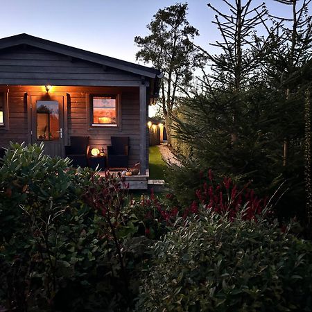 Chalet In Het Groen Met Airco Drachtstercompagnie Eksteriør billede