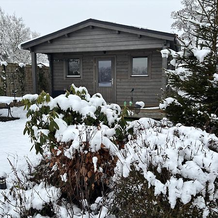 Chalet In Het Groen Met Airco Drachtstercompagnie Eksteriør billede