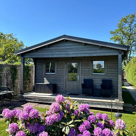 Chalet In Het Groen Met Airco Drachtstercompagnie Eksteriør billede