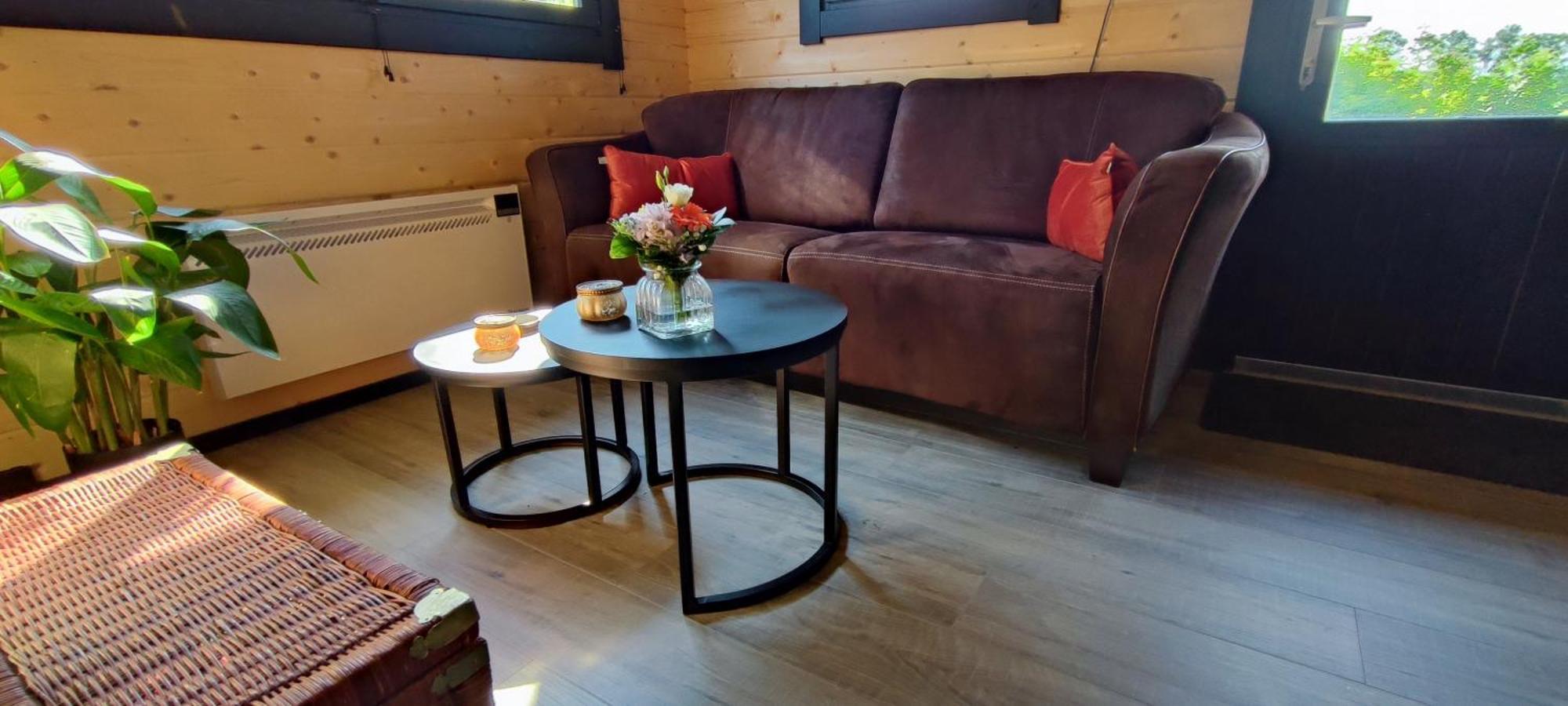 Chalet In Het Groen Met Airco Drachtstercompagnie Eksteriør billede