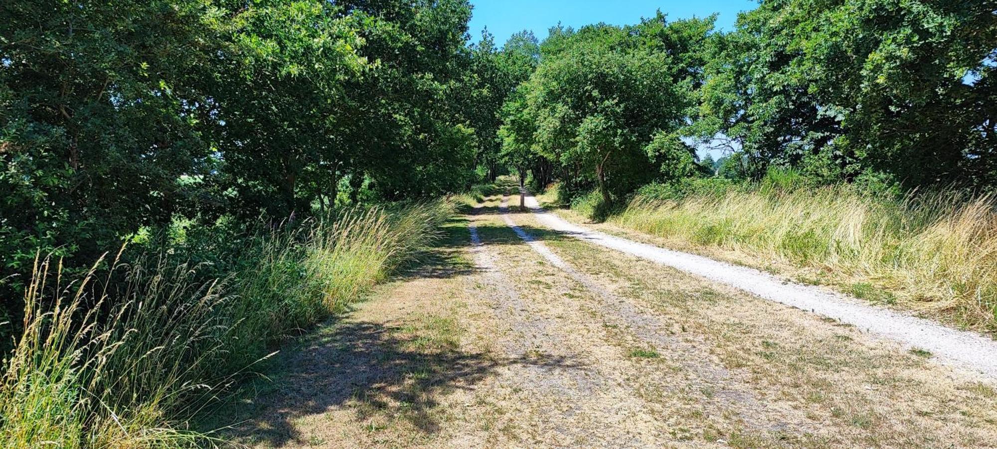 Chalet In Het Groen Met Airco Drachtstercompagnie Eksteriør billede