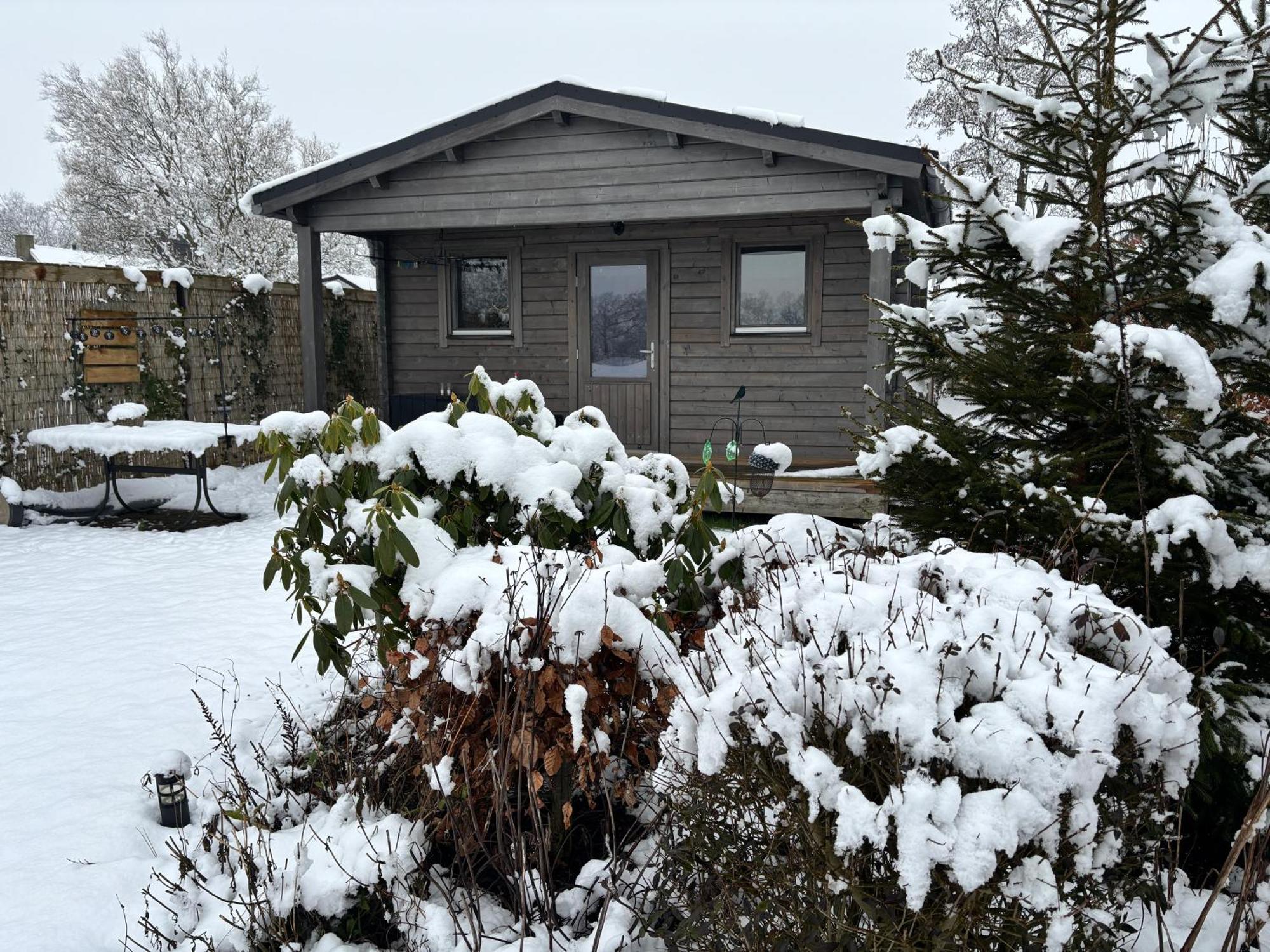 Chalet In Het Groen Met Airco Drachtstercompagnie Eksteriør billede